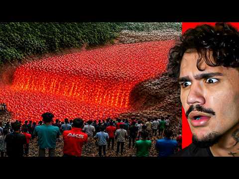 The most unbelievable moments in nature ever caught on camera