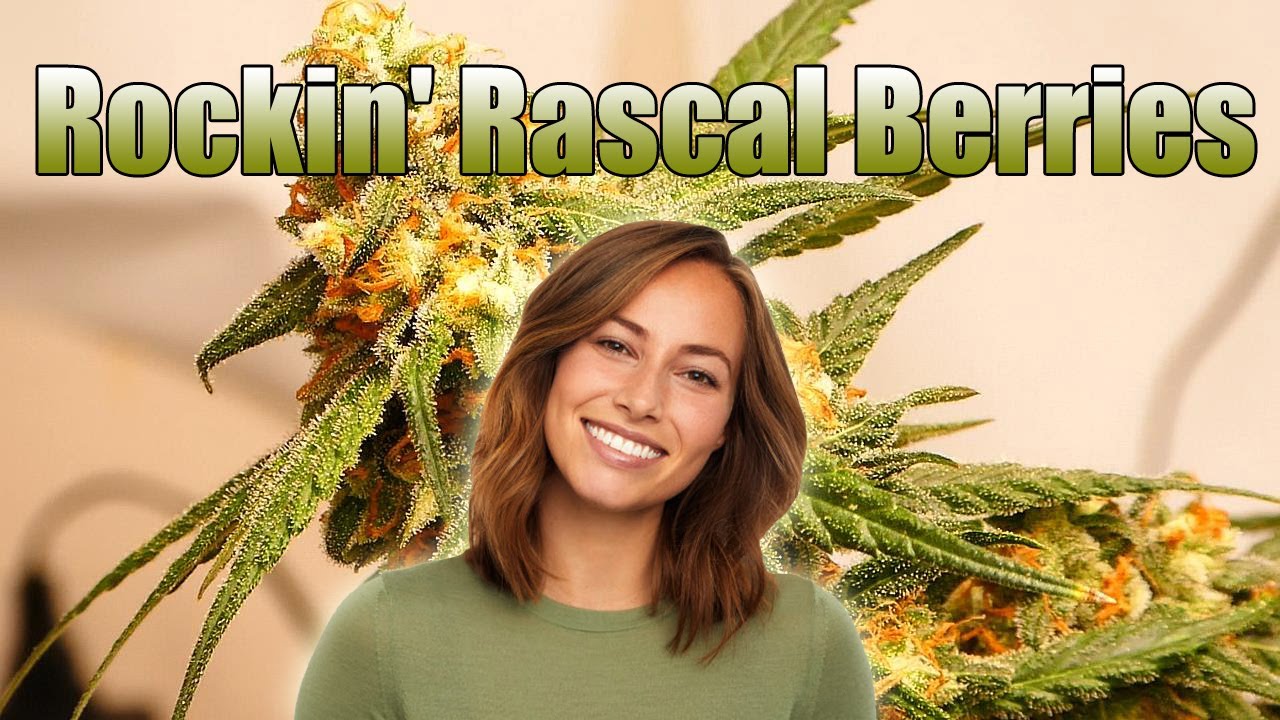 Rockin Raskal Berries
