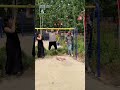 Title: In Pain? Watch This! UnexpectedLaughter Hilarious StunnedByThis
