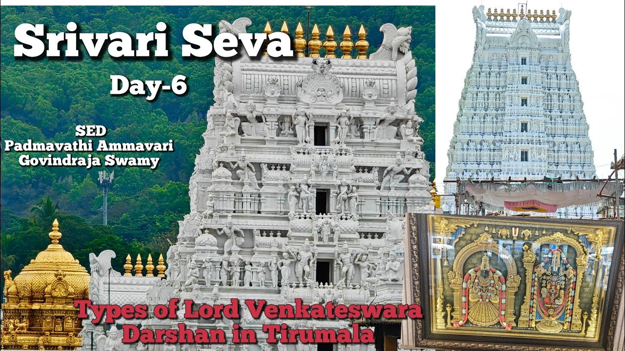 Day-6 Srivari Seva | Seva at ATC circle SED, NRI and Defence | Ammavari Darshan | Lord Venkateswara