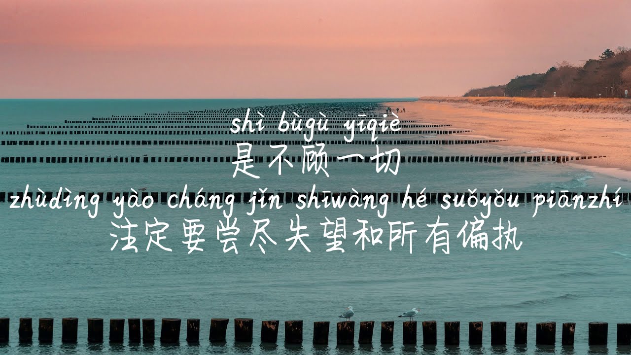 【我爱你,怎么就-石白其】WO AI NI, ZEN ME JIU-SHI BAI QI/ TIKTOK,抖音,틱톡/Pinyin Lyrics,  拼音歌词, 병음가사/No AD, 无广告,광고없음