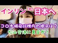 台北✈︎東京〜3年ぶりにインリン日本上陸！コロナ禍の国際線飛行機内や松山空港をインリンがリポート〜一家五口飛往疫情爆發中的日本了