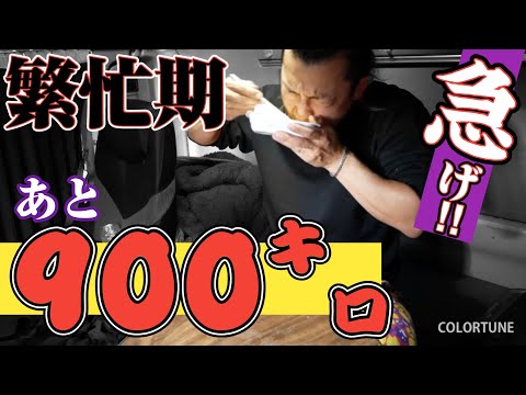 長距離トラック運転手 車中泊 朝の貧乏飯 最高or最低 誰にも会いません Japan Xanh