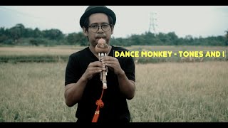 Video thumbnail of "Dance Monkey - Tones and I (hulusi and ethnic instrument cover )"
