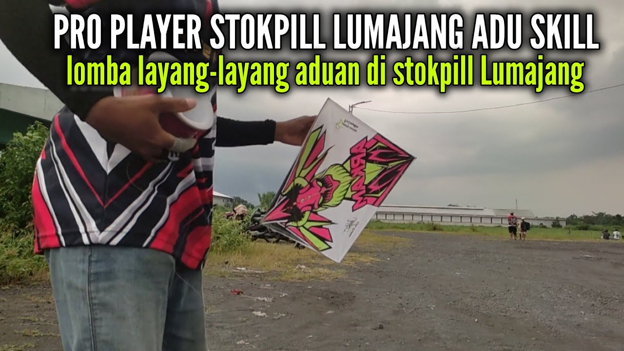 turnamen layangan sukhoi tgl 11 2026 stokpill besuk lumajang