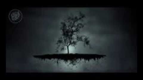 تلاوة تفوق الخيال لشيخ القراء الشيخ عبدالباسط عبدالصمد سورة القصص 🌺🌺🌺