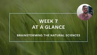ENC 1101 - Week 7 - At a Glance