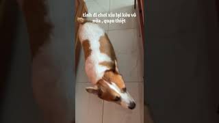 yuki tính đi chơi xíu