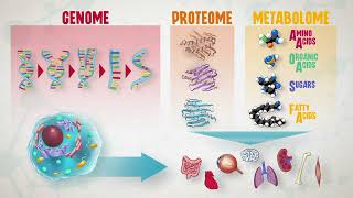 Celebrity 6 - Omics and multiomics (STEn) Wealth