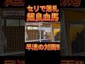 【馬主】セリで落札の超良血馬を見学!オオバンブルマイ生産のサンデーヒルズへ【競馬】#shorts #競馬 #馬主
