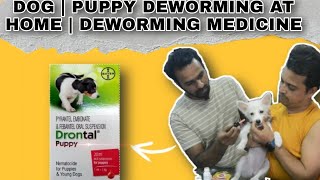 DOG | PUPPY DEWORMING AT HOME | DEWORMING MEDICINE | PUPPY DEWORMING SCHEDULE | DE WORMING by THE PET GUY 135 views 5 months ago 5 minutes, 46 seconds