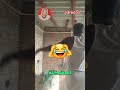 تحدي إذا قدرت تمسك ضحكتك على اللقطة الأخيرة إلك اللي بدك ياه ردة فعل ضحك
