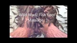 Dubai: Jumeirah Beach, Wild Wadi Foot Massage, and Festival City