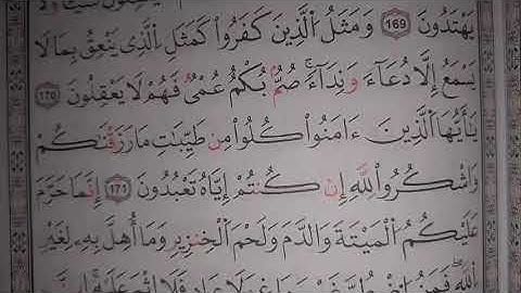 تصحيح التلاوة مع الشيخة نادية _ تسميع حفظ سورة البقرة من الاية169 # learn coran #