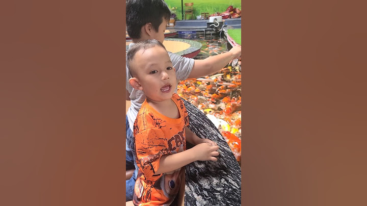 Chiều nay em đi câu cá về cho má nấu canh chua #shortvideo
