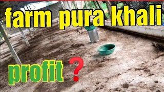 farm pura khali || profit kya hua