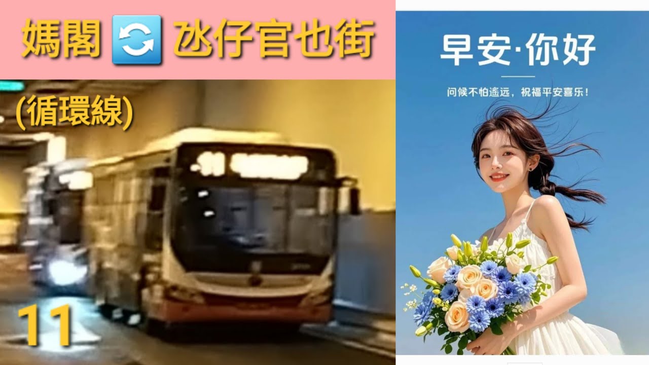 Macau Bus TCM 2119 @ 11 澳門公共汽車股份有限公司 YuTung ZK6986HG 媽閣 氹仔官也街 媽閣