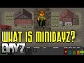 What is MiniDayZ | Guide to MiniDayZ