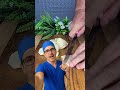 BATATA DOCE OU INGLESA  O SUCO QUE ESTÁ ACABANDO COM A GASTRITE! 😳🥔 #shorts