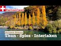 🇨🇭🍁Thun - Interlaken, Switzerland • Boat/Cruise Tour • 4K Panoramic Colorful Autumn/ Fall Views