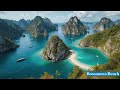 Sunny Bossa Nova at the Coastal 🌊 | for Relaxing