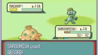 Pokémon Ruby Walkthrough Tutorial - Part 8