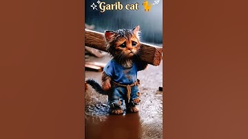 Thumbnail of #kucing #cat #kucinglucu #liriklagu #song #viral #dubidubidu #animalsong #lifeisbutadream #catsong