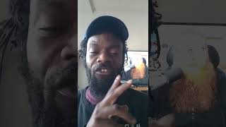 XboX is InsaAnE for this #xbox #xboxfan  #xboxseriesx #reaction jeffroidvania