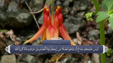 حج و عمره در قران_سوره بقره آیه 196 تا 203