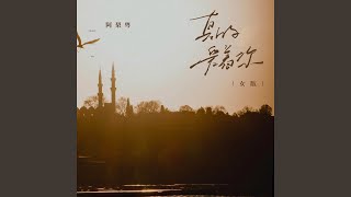 真的爱着你 (Live版伴奏)