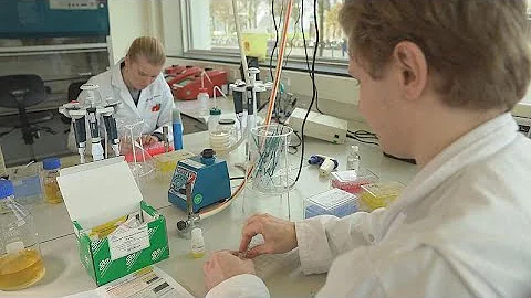 Yeast could prove game-changer in medicine - DayDayNews