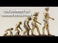 The Journey of Human Evolution: How We Became Who We Are