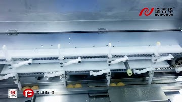 Revolutionizing Packaging with Automatic Layer Stacking & Efficient Sealing | Automation Solutions