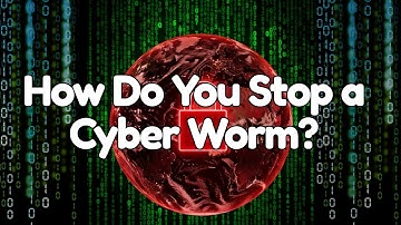 How the Hacker Who Saved the Internet Got Arrested by the FBI