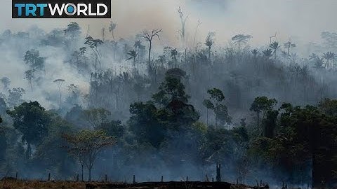 Deforestation in Brazil