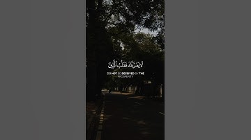 تلاوة جميلة للقرآن الكريم -  Part48 | #قرآن #قران_كريم #quran