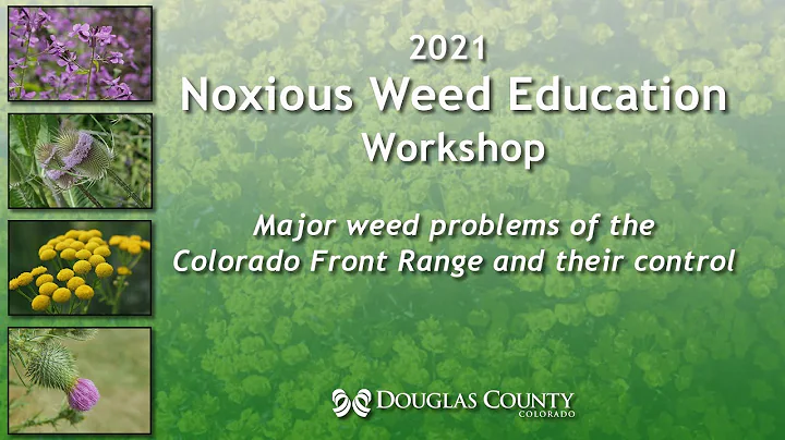 Major Weed Problems of the Colorado Front Range and Their Control