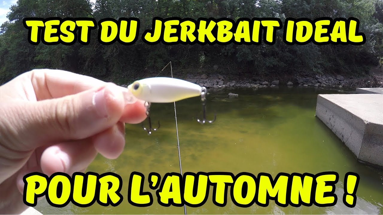 Gros Lot De Leurres De Pêche Vintage L&S – Jerkbaits, Topwater, Twitchbaits – Toutes Tailles