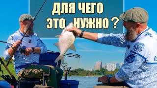 картинка: ГДЕ И КАК ИСКАТЬ ЛЕЩА? ИНСТРУКЦИЯ ПО ЛОВЛЕ С НЕСКОЛЬКИХ ТОЧЕК. СПОРТИВНЫЙ ПОДХОД.