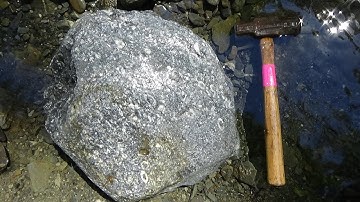 Fossil Hunting Crinoids Sleese Creek Chilliwack British Columbia