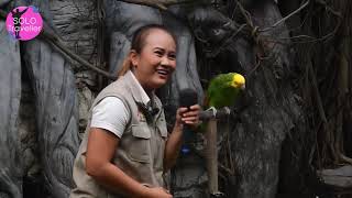 Bird show @ safari world bangkok thailand