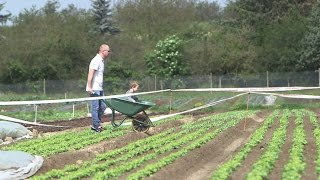 Bienvenue à la ferme - Tout Compte Fait