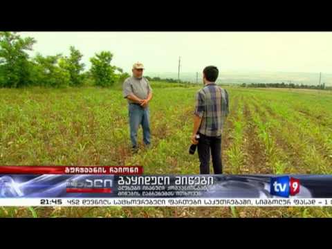 ახალი 9 | გაყიდული მიწები | 20.06.13