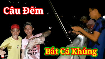 Câu Đêm Trên Cầu Bắt Được Cá Ngát Khủng | ĐIỂM CUỐI QUÊ HƯƠNG
