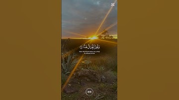 القرآن الكريم.تلاوة هادئة #استغفرالله #لايك #اكسبلور #راحة_نفسية #تيك_توك #استغفار