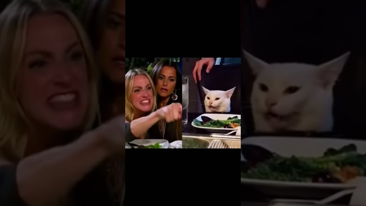 Angry yelling woman vs cat fyp 😑😾 #whitecat