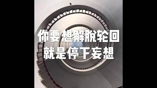 201805 你要想解脱轮回　就是停下妄想25569