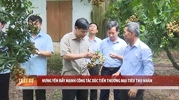 Hưng Yên đẩy mạnh công tác xúc tiến thương mại tiêu thụ nhãn
