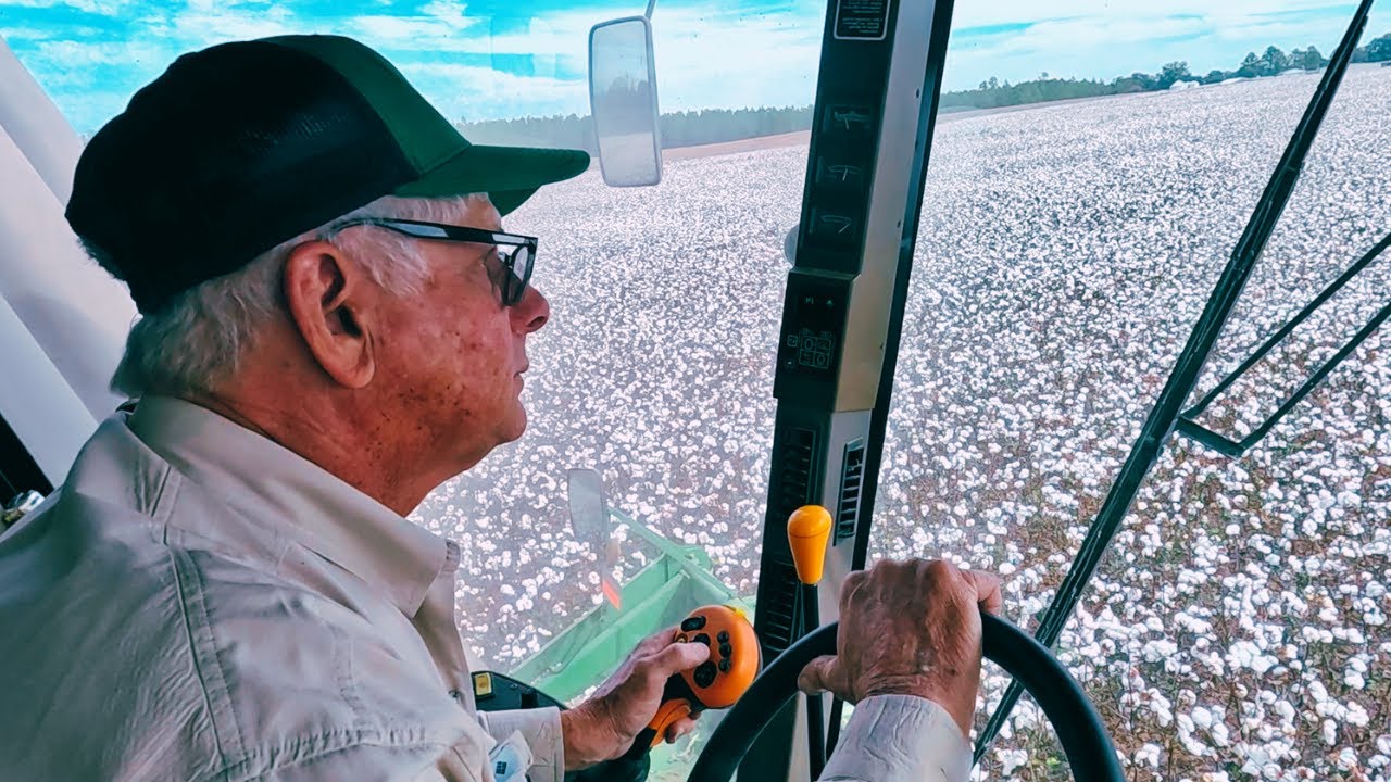 Папа впервые собирает хлопок на 6-рядной машине