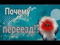 Почему переезжать//Пастеризую молоко!!(//Сборка пресса